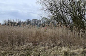 Kolejny pożar traw w okolicy jeziora Bugaj doszło w poniedziałkowe przedpołudnie. Na miejscu działały trzy zastępy straży pożarnej