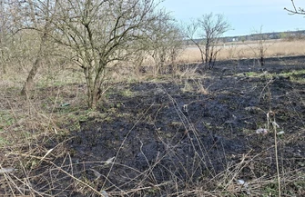 Kolejny pożar traw w okolicy jeziora Bugaj doszło w poniedziałkowe przedpołudnie. Na miejscu działały trzy zastępy straży pożarnej