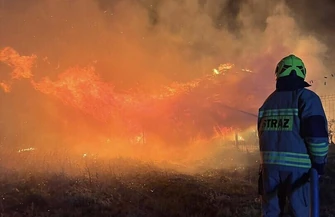 Pożar stajni w Kotuszowie. Zginęły dwa konie