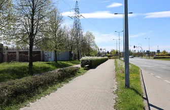 Mieszkańcy i instytucje Piotrkowa Trybunalskiego włączyły się w zbiórkę youtubera. Powstał mural trwa również licytacja.