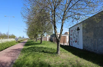 Mieszkańcy i instytucje Piotrkowa Trybunalskiego włączyły się w zbiórkę youtubera. Powstał mural trwa również licytacja.