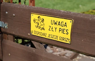 Jak Piotrkowianie spędzają majówkę Działka grill i relaks - pogoda idealna.