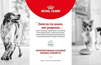 Zwierzę nie powie wet podpowie - 71 opiekunów ufa swojej ocenie stanu zdrowia zwierzęcia. Czy słusznie