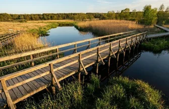 Nowe szlaki kładki i wieża widokowa. Sulejów inwestuje miliony w rozwój turystyki nad Zalewem Sulejowskim
