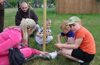 Zielony Dzień Dziecka w Leśnej Osadzie Edukacyjnej w Kole. Moc atrakcji i dobrej zabawy na łonie natury.
