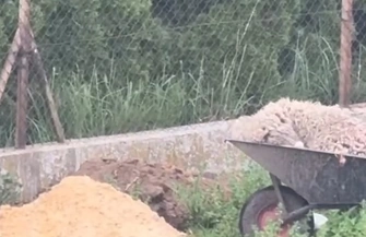 Szczątki rytualnie zabijanych zwierząt zostały zakopane na działce w Piotrkowie