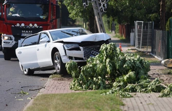 Audi uderzyło w słup i drzewo na Zalesickiej. Kierowca uciekł
