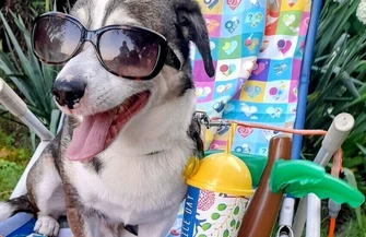 Wasze psy skradły nasze serca Oto wyniki konkursu