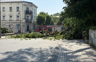 Przy starostwie powiatowym przewróciło się drzewo które uszkodziło budkę z chlebem i słodkimi wypiekami