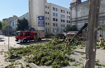 Przy starostwie powiatowym przewróciło się drzewo które uszkodziło budkę z chlebem i słodkimi wypiekami