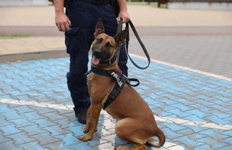 Piknik policyjny przy ul. Niemena przyciągnął tłumy mieszkańców. Wspólne świętowanie z okazji Święta Policji