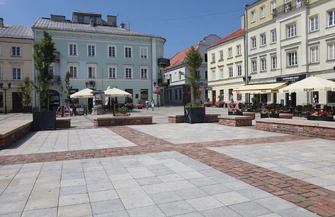 Piotrków walczy z betonozą Mieszkańcy chcą więcej drzew miasto pokazuje swoje działania