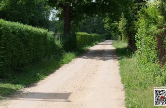 Nowa atrakcja w Sulejowie. Szlak Dwunastu Lwów już dostępny dla turystów