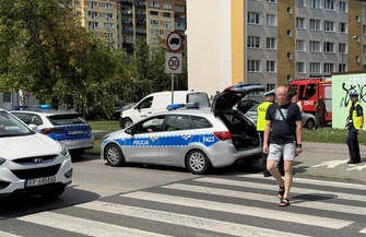Potrąciła mężczyznę koszącego trawę. Auto wypadło z drogi na rondzie