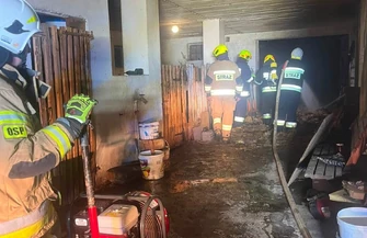 Pożar budynku gospodarczego w Borowcu. Jedna osoba poszkodowana