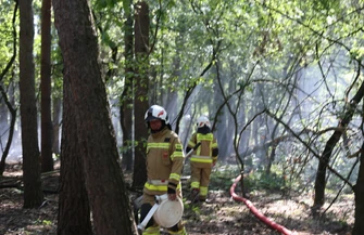 Zapalił się prywatny las w Rakowie Dużym. Strażacy gasili 450 metrów kwadratowych pożaru