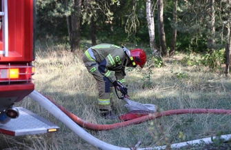 Zapalił się prywatny las w Rakowie Dużym. Strażacy gasili 450 metrów kwadratowych pożaru