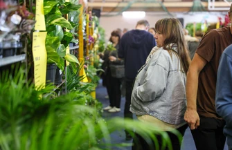 Trwa Festiwal Roślin 2026 w Piotrkowie Trybunalskim. Co można znaleźć w hali OSiR przy Belzackiej