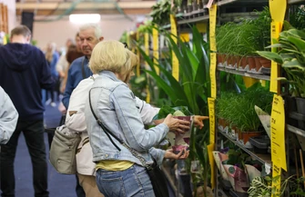 Trwa Festiwal Roślin 2026 w Piotrkowie Trybunalskim. Co można znaleźć w hali OSiR przy Belzackiej